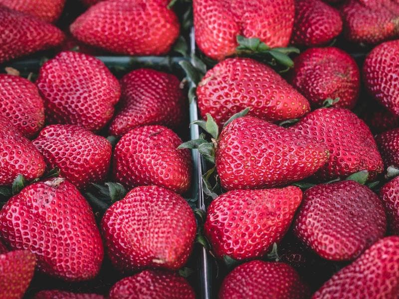 Rooftop brunch shoot