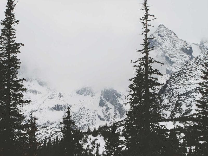 Signature cocktail series